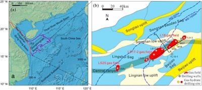 The Controlling Factors of the Natural Gas Hydrate Accumulation in the Songnan Low Uplift, Qiongdongnan Basin, China